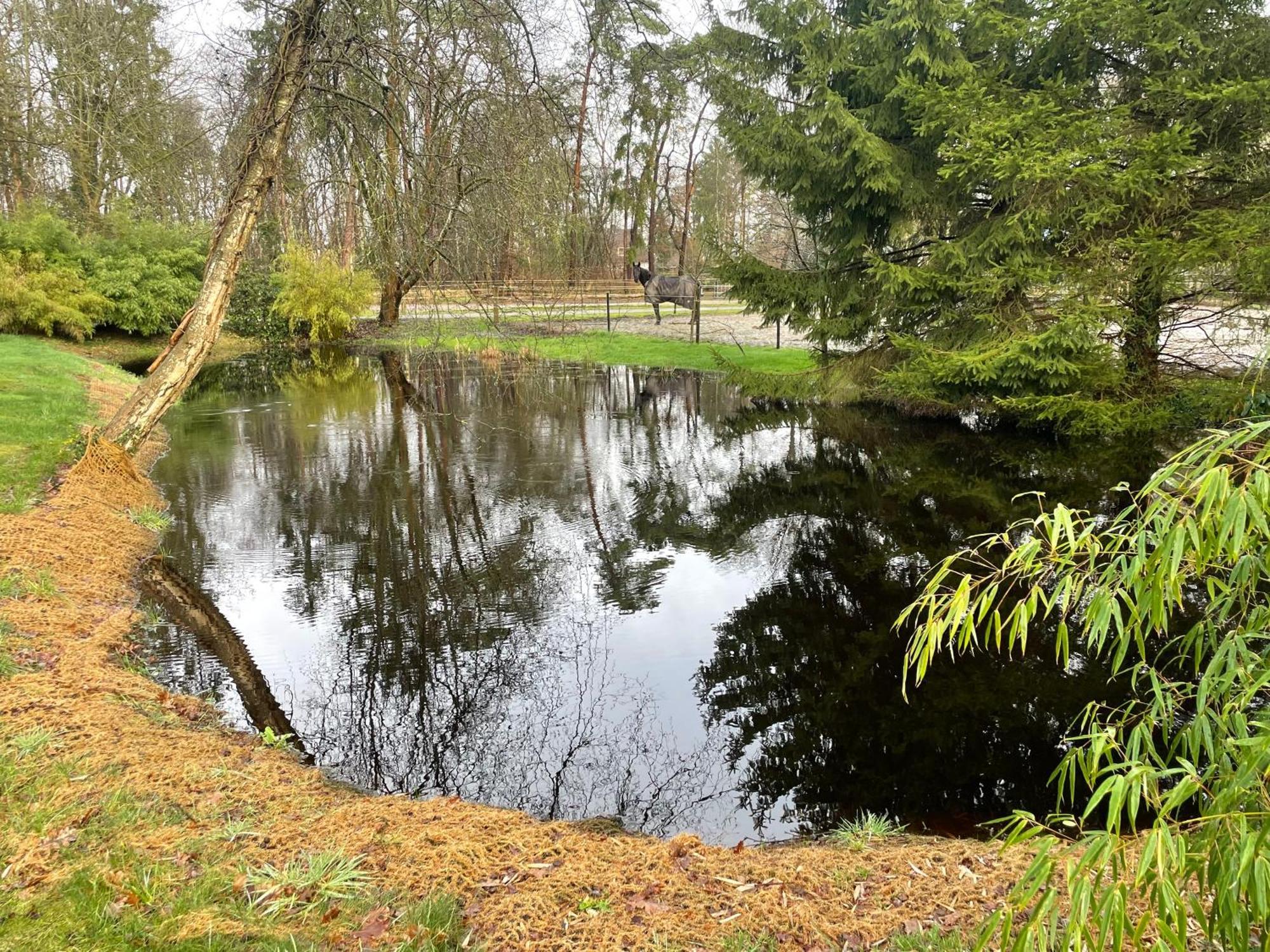 Haus Am Teich Appartement Worpswede Buitenkant foto
